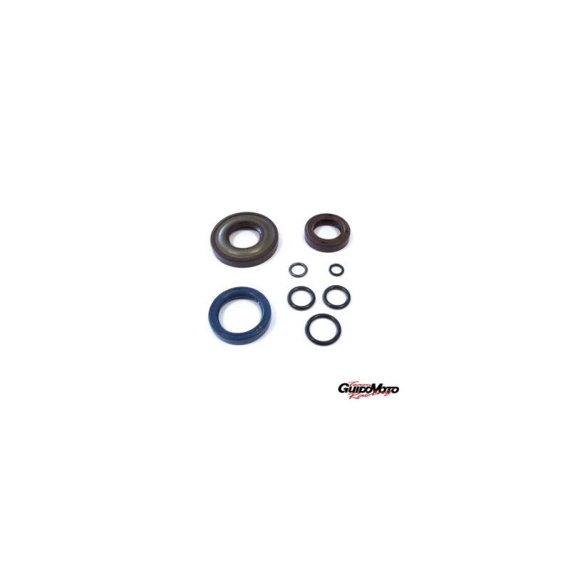 Pagamento Sicuro 6653-V KIT PARAOLIO E O-RING VESPA PK 50 CONO 20 VITON PIAGGIO
