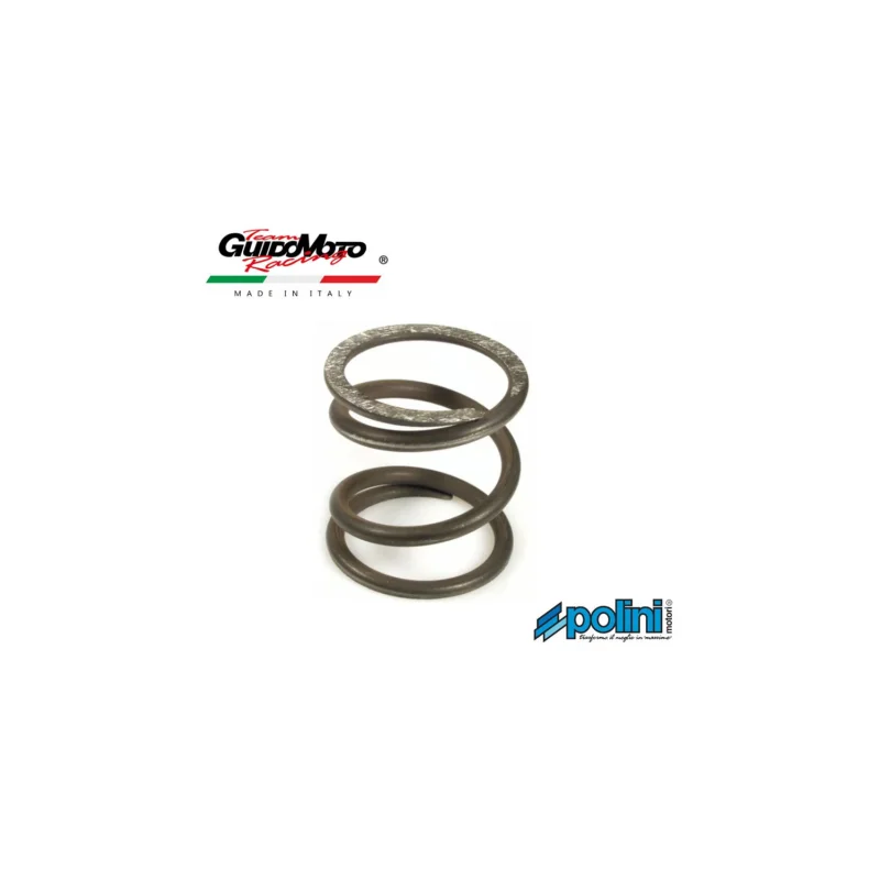 MOLLA FRIZIONE RINFORZATA VESPA 50 ET3 MOTOCARRI APE 50 PIAGGIO POLINI 228.0000 Ultime Pezzi