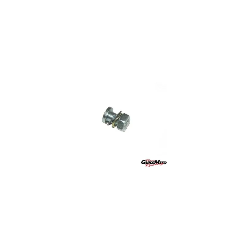Ultimissimo Modello VITE LEVETTA STARTER VESPA 50 125 PRIIMAVERA ET3 PREMIUMVL318