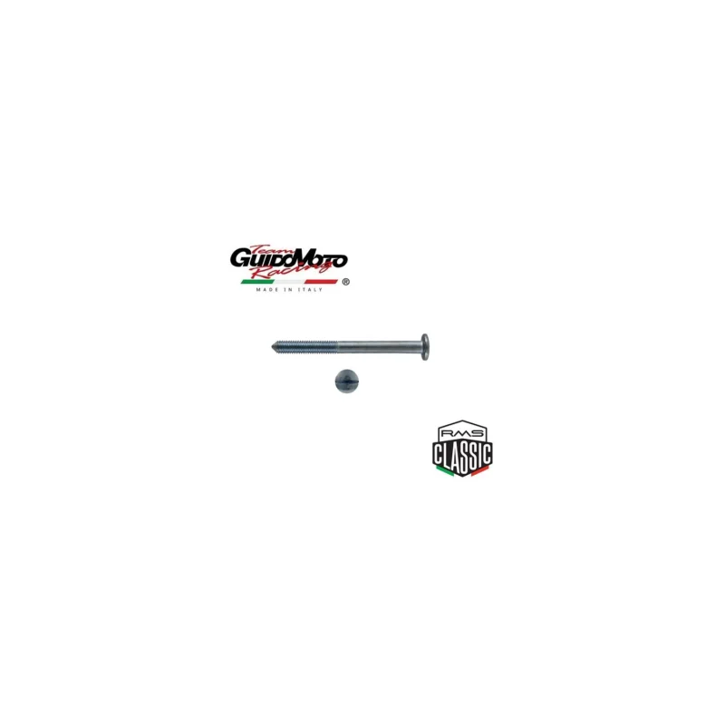 VITE FISSAGGIO CONTACHILOMETRI VESPA 125 PRIMAVERA ET3 PIAGGIO RMS 121859239 Promo Stagionale